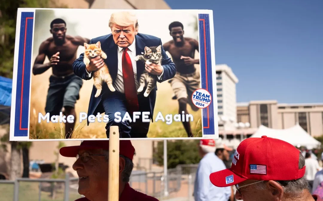 Racistische nepverhalen over Haïtiaanse migranten leidden tot een golf van geweld